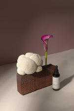 Lion's mane tincture