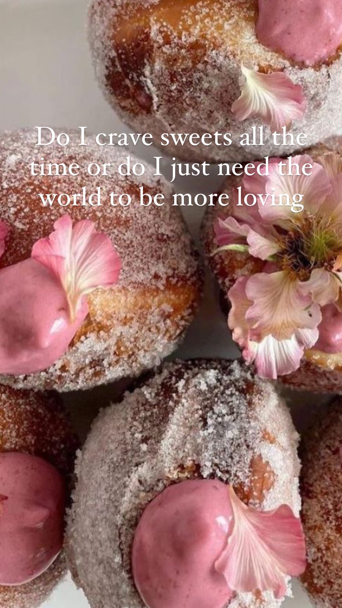 Living in pursuit of romance programma