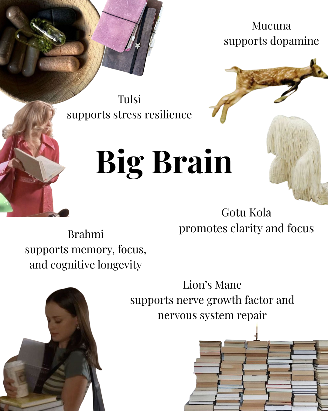 Big Brain powder