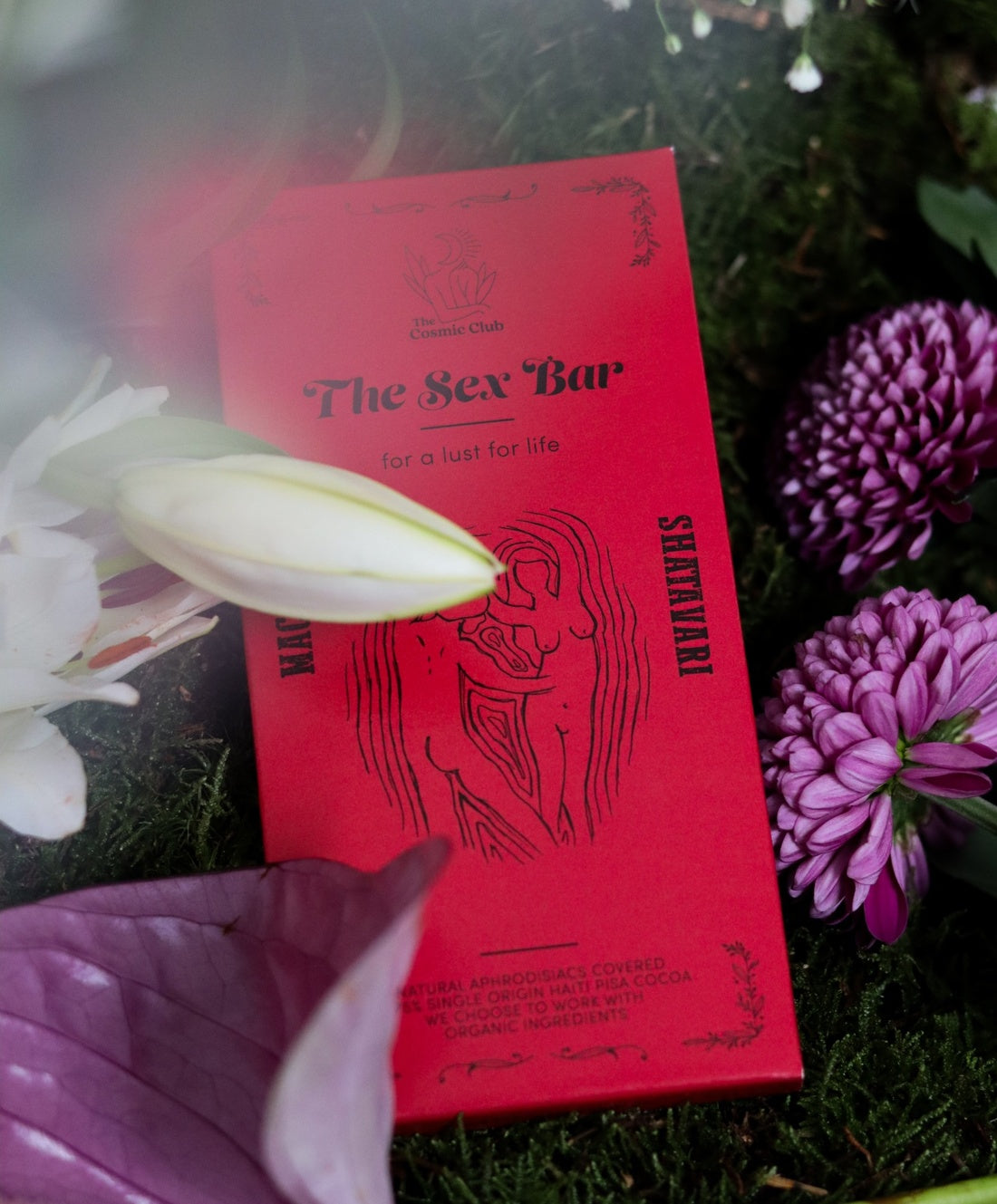 The Sex Bar - PRE ORDER! Shipping on Monday 8th of June!