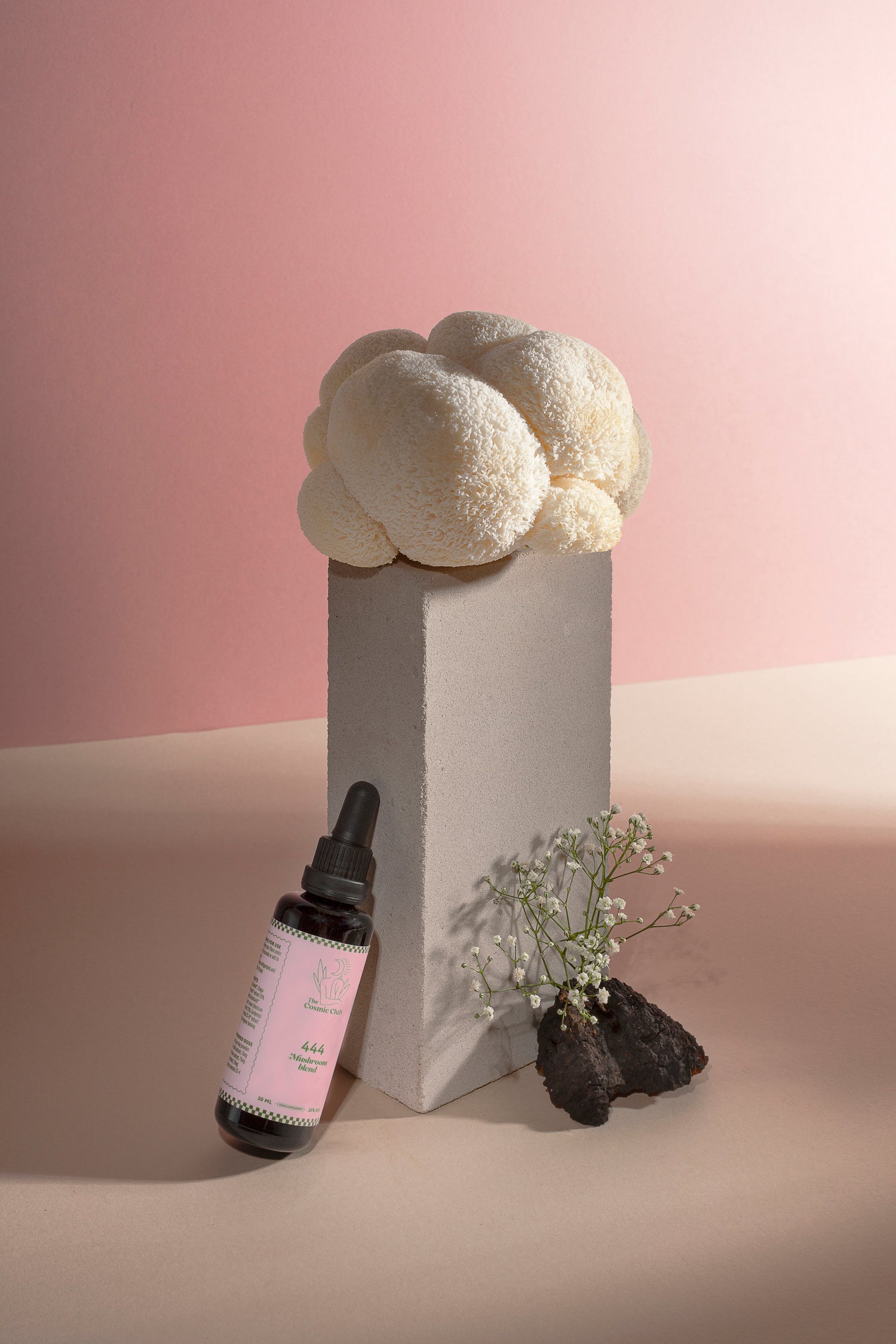 Mushroom blend tincture