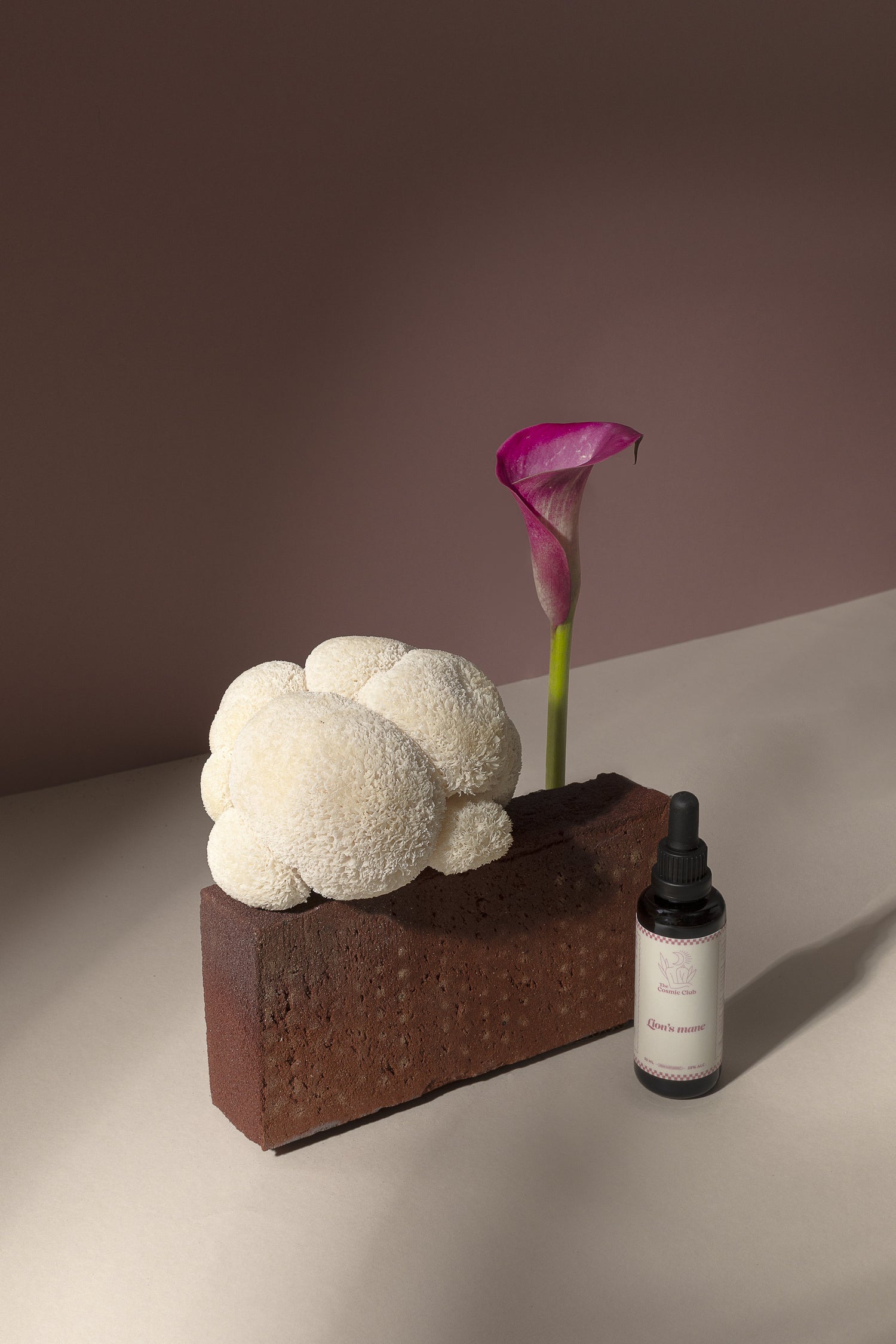 Lion's mane tincture
