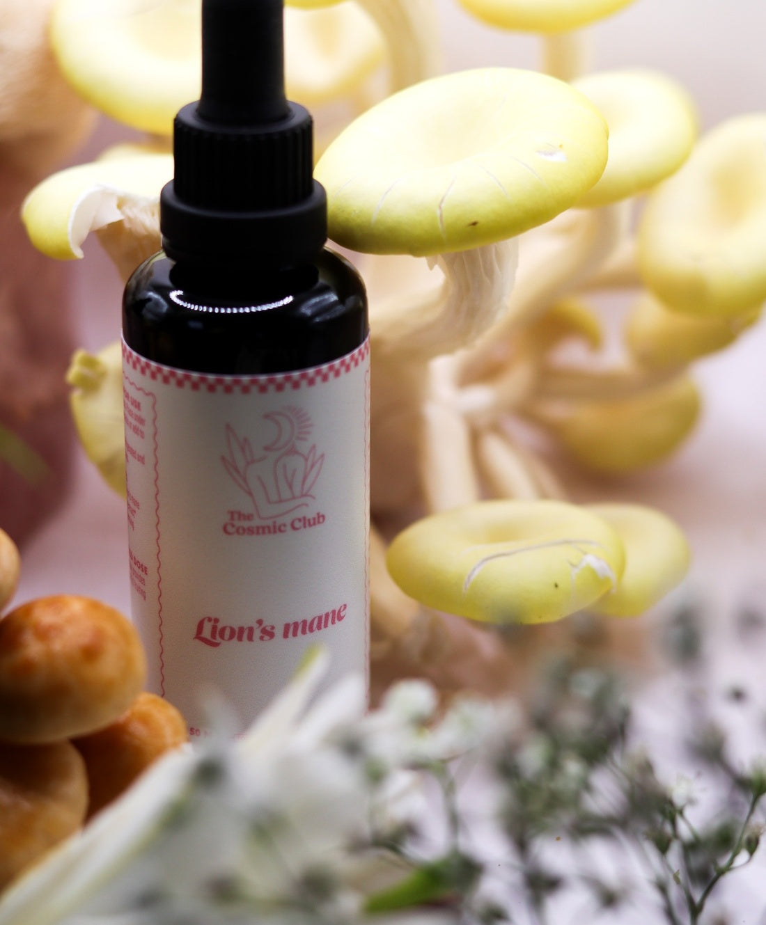 Lion's mane tincture