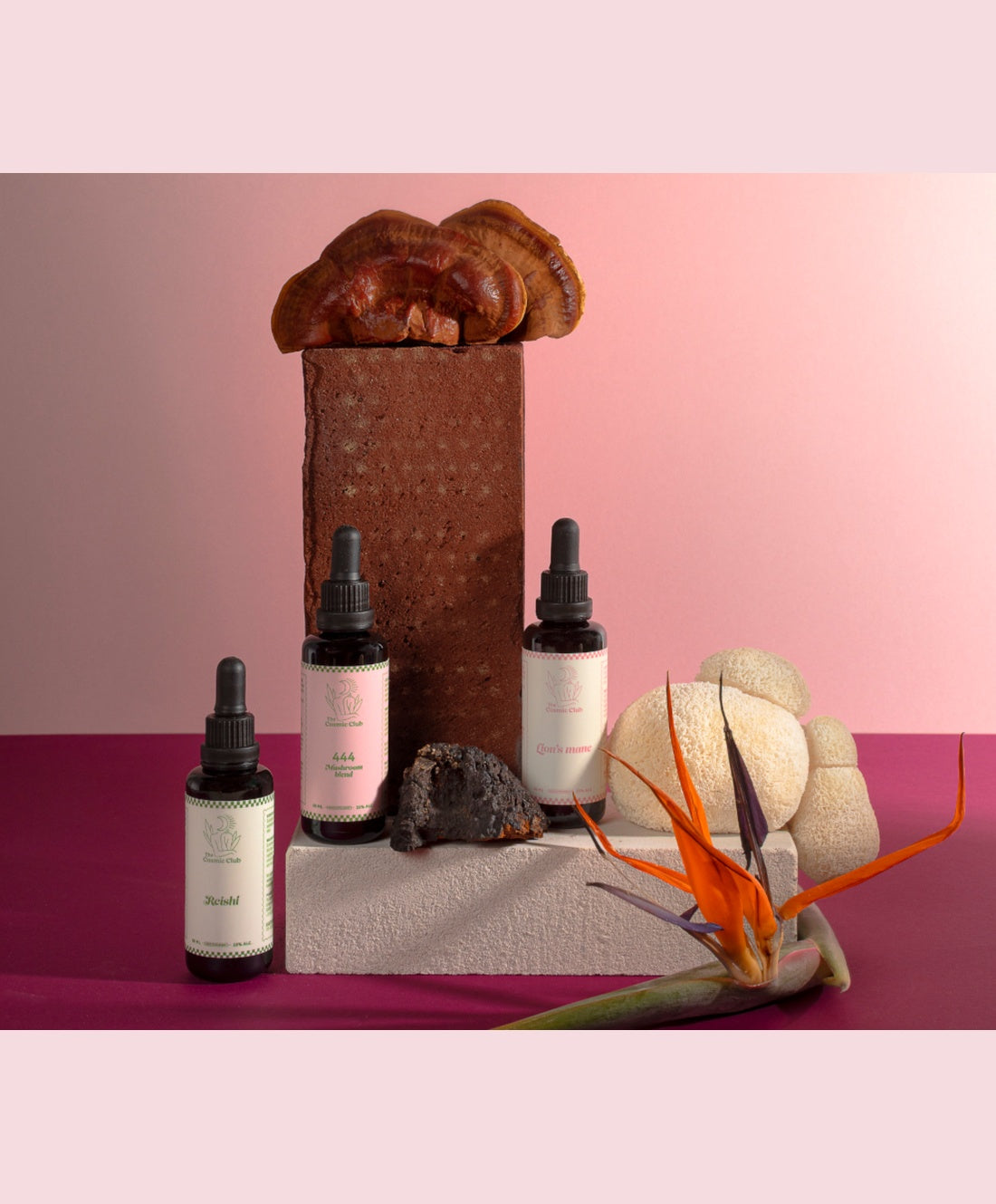 Medicinal mushroom pack