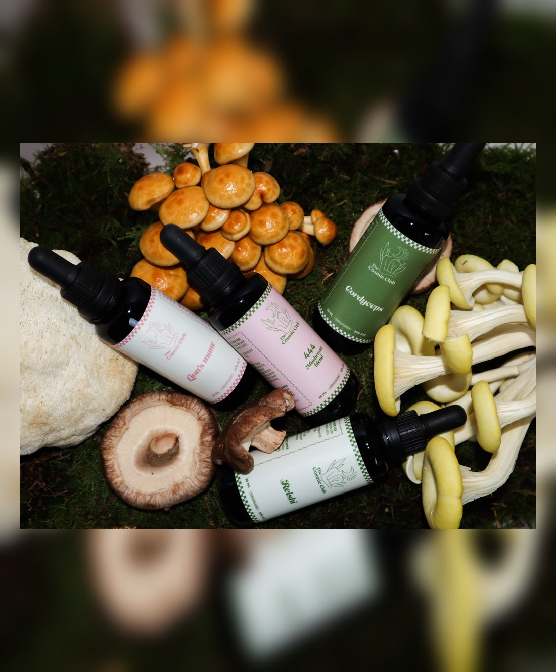 Medicinal mushroom pack